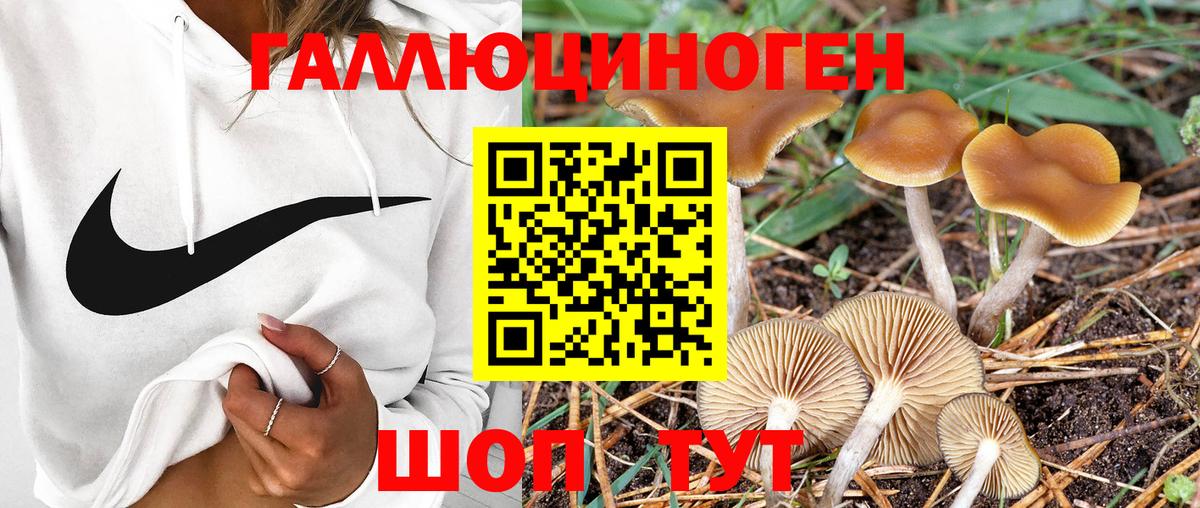 Псилоцибиновые грибы Psilocybine cubensis  Вход с VPN  Псилоцибиновые грибы Magic Shrooms  где продают наркотики  Рязань 