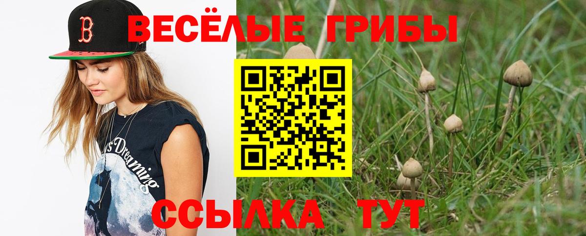Галлюциногенные грибы мицелий Рязань